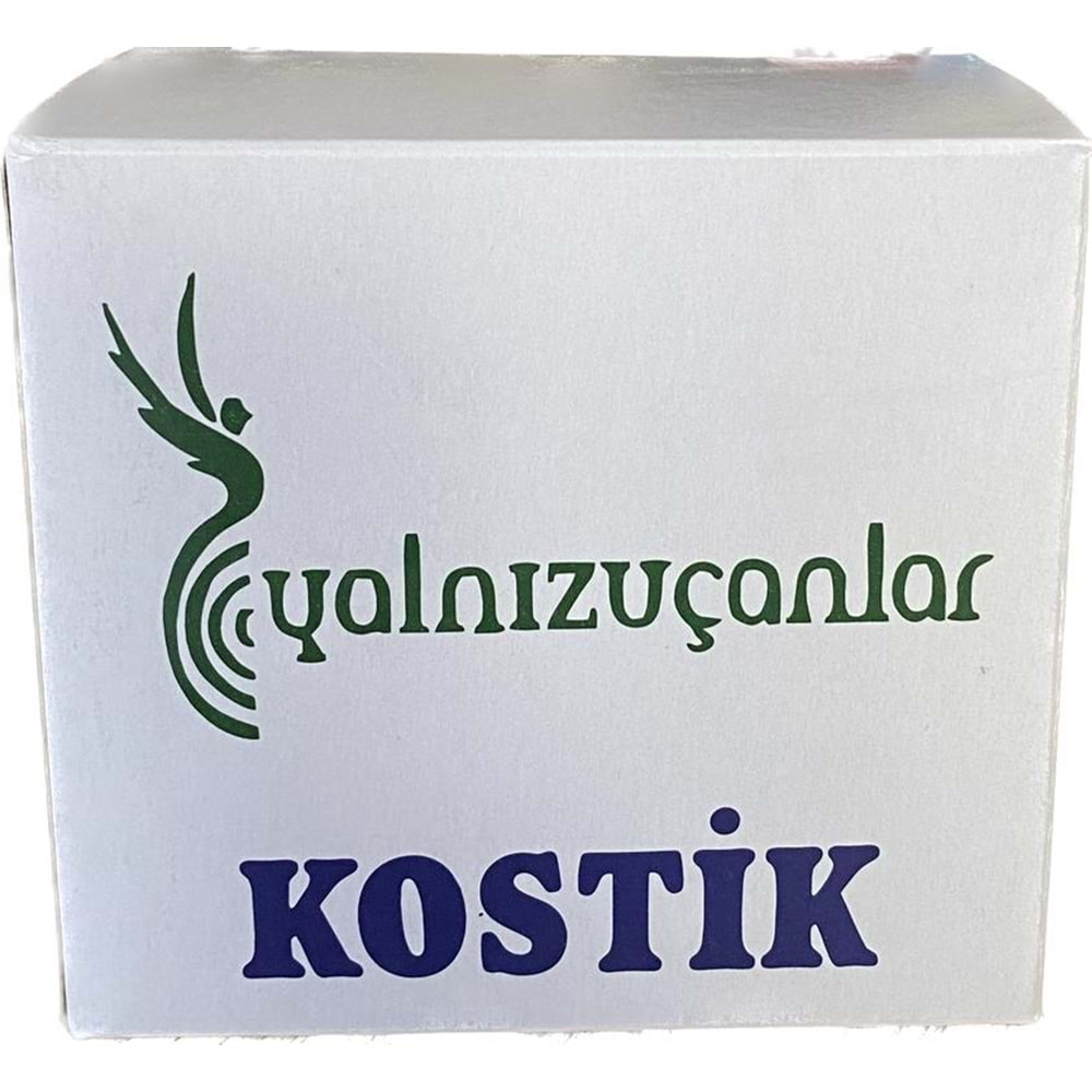 KOSTİK TOZ 450 GR