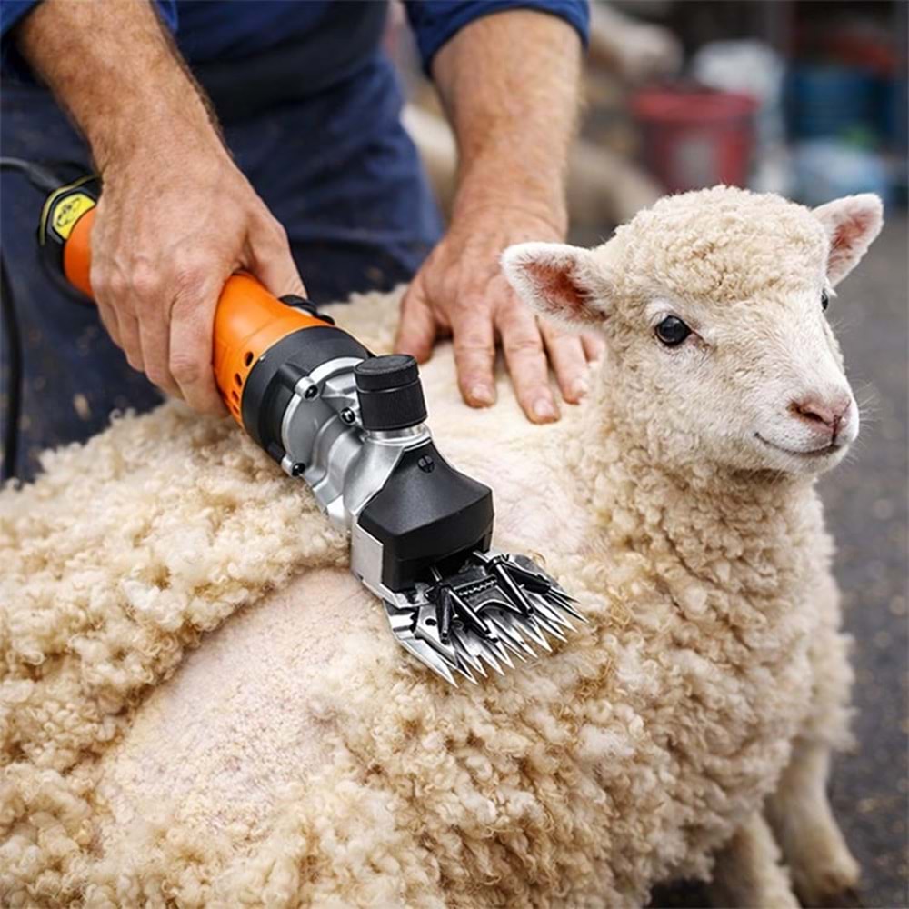 Devir Ayarlı Koyun Kırkma Makinası BE-WELT 350W Profesyonel