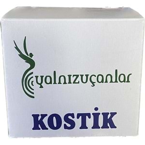 Kostik Kostik Toz Lavabo Açıcı 900 Gr