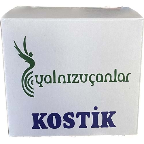 KOSTİK TOZ 900 GR