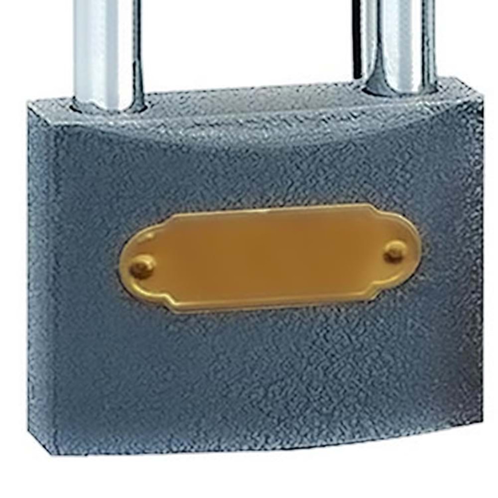 Asma Kilit T-Rex Gri Uzun 38 Mm Asma Kilit