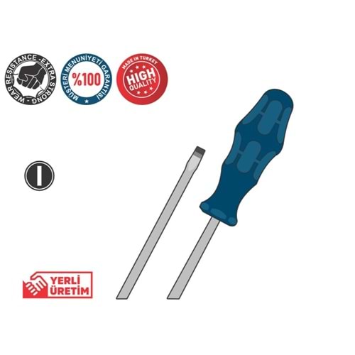 Tornavida düz 6*100
