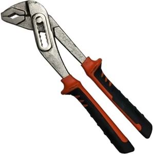 Papağan Pense Fort Pense